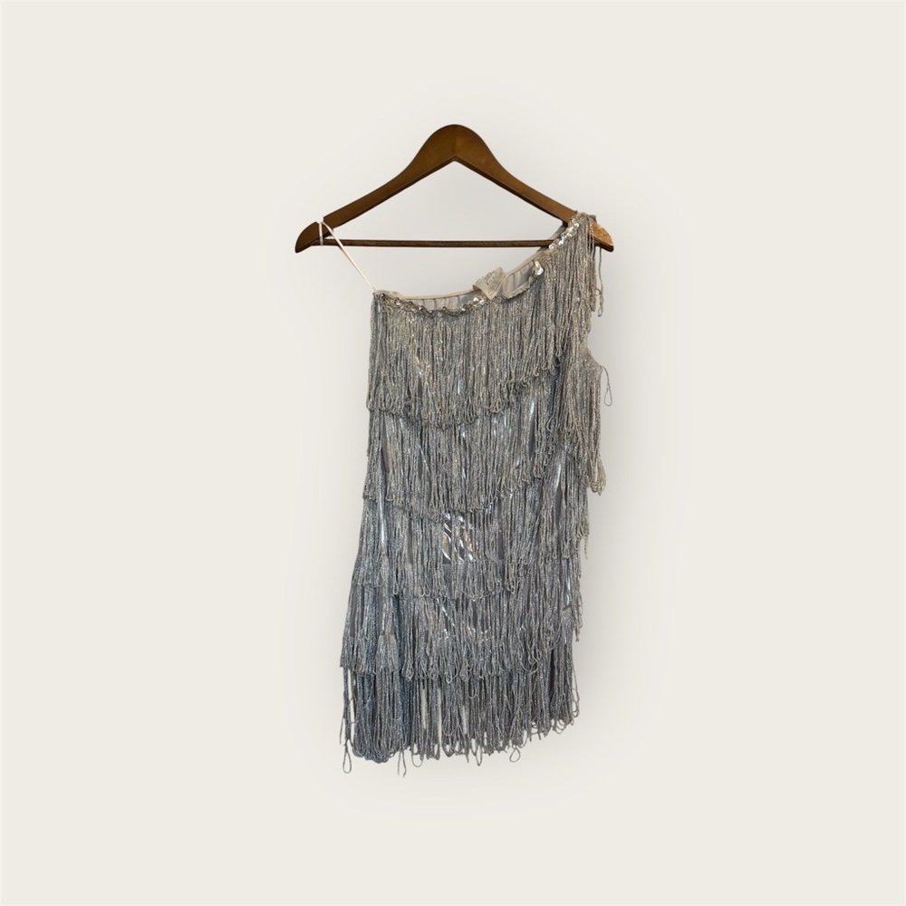 Spirit Silver Fringe Mini Dress